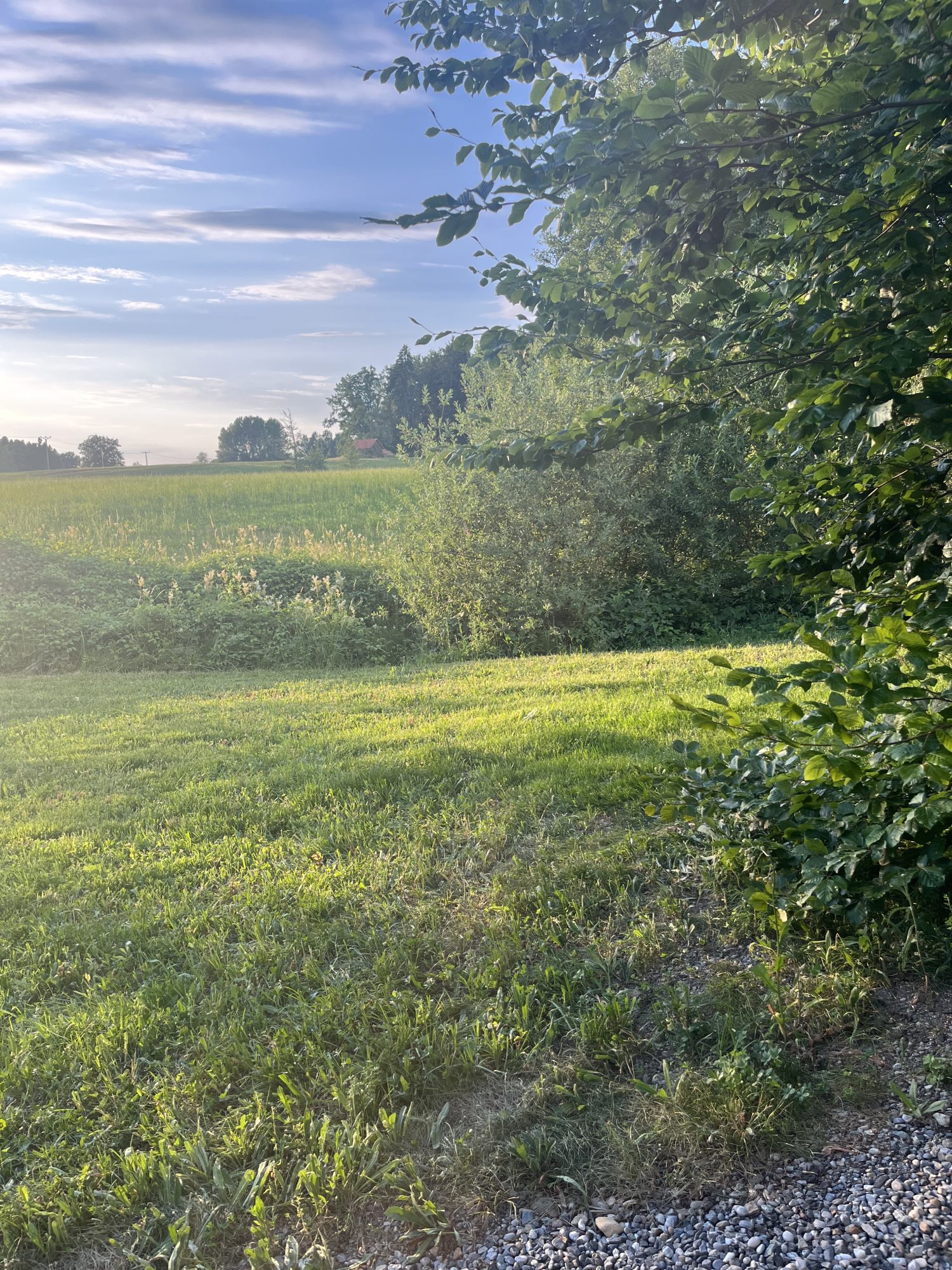 Ruhige Naturkulisse rund um das Naturkosmetik-Studio in Hergensweiler als Sinnbild für Achtsamkeit