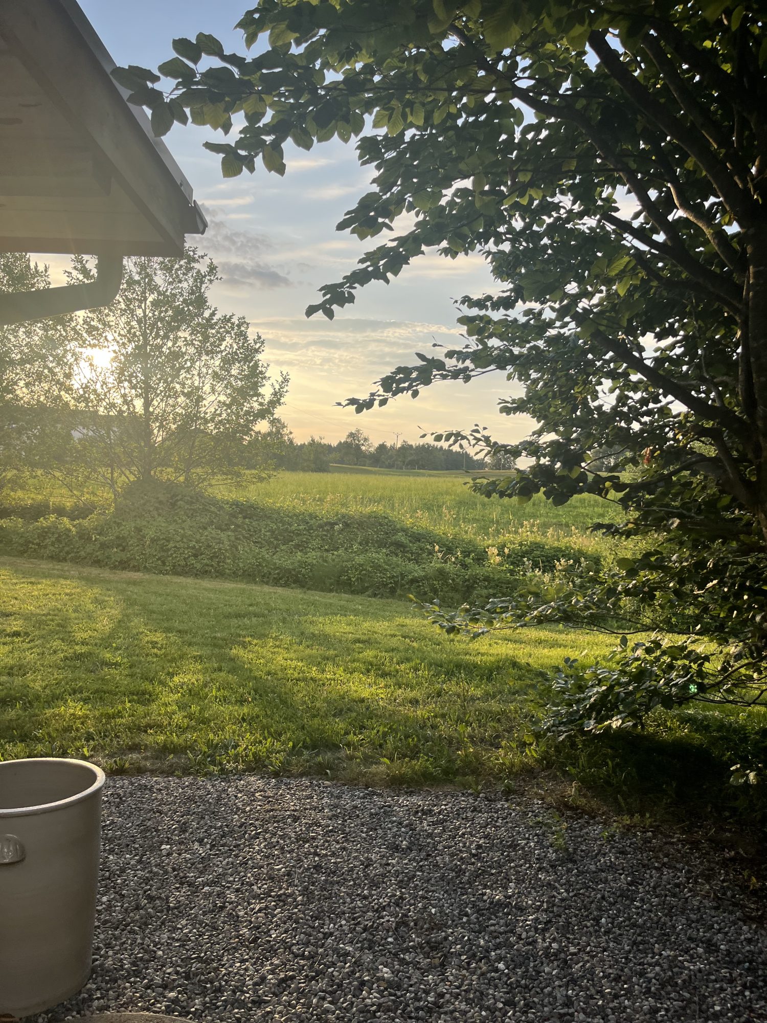 Blick auf Wiese und Bäume rund um das Naturkosmetik-Studio in Hergensweiler